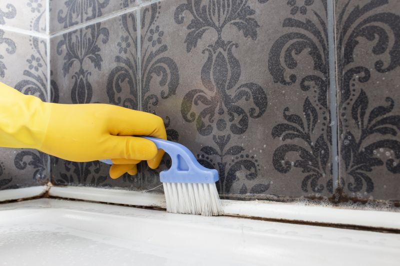 Grout Cleaning Process